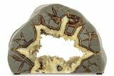 Polished Crystal Filled Septarian Nodule Section - Utah #318011-2